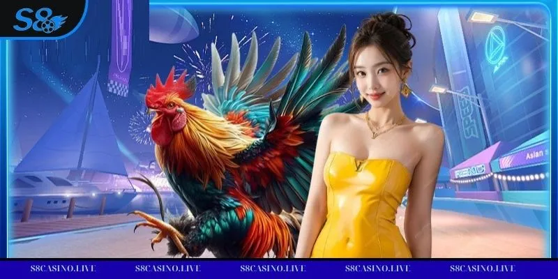 Đá gà cựa sắt